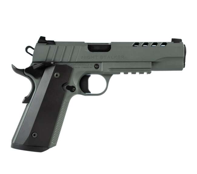TISAS 1911 NIGHT STALKER GRY 10MM