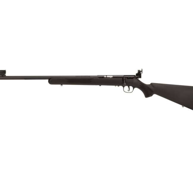 SAVAGE ARMS MARK I BOLT 22LR BL/SY TARG LH