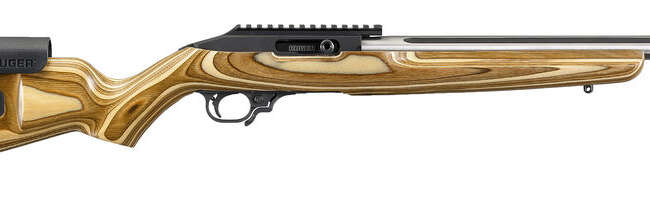RUG 10/22 COMP 22LR 10RD BRN