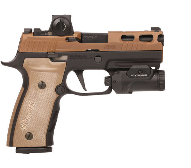 SIG SAUER P320 AXG 2TONE 3.9" FXTR 21+1#
