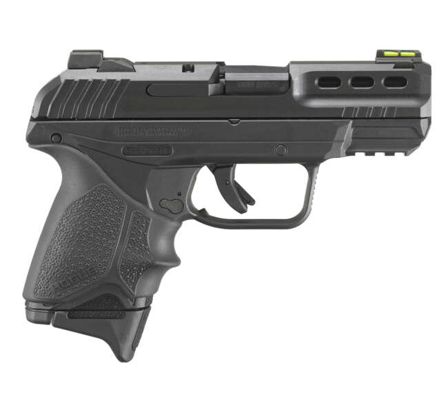 RUGER SECURITY-380 380ACP 10+1 MASS