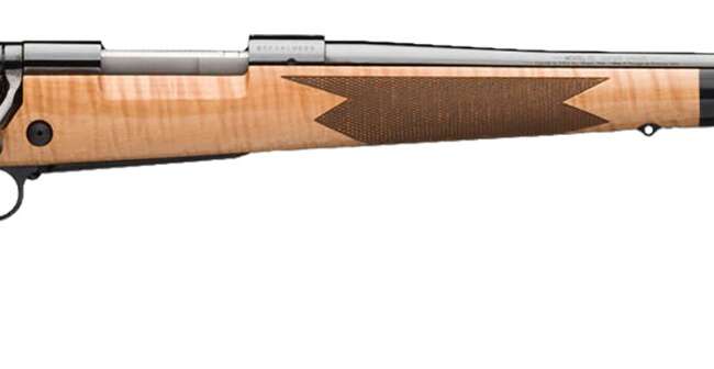WRA 70 SG 243 RFL B MAPLE