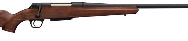 WRA XPR SPRT 270 BA RFL WAL
