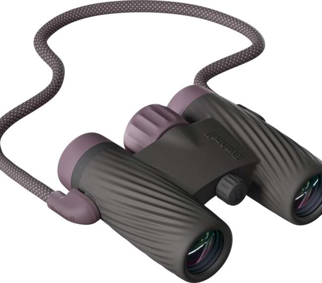 BUSHNELL A1 BINO 10X25 PLUM