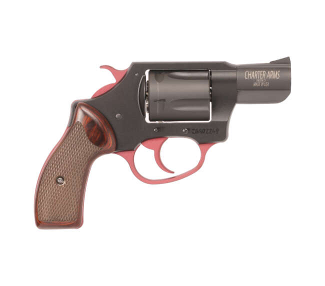 CHARTER ARMS CHARTER MERLOT 38SPC 2"