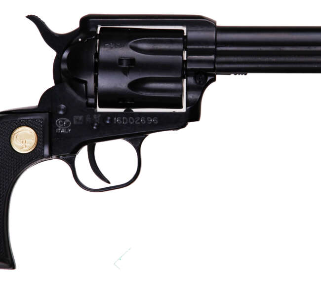 CHIAPPA FIREARMS CHIAPPA 1873-22 22LR/22M BLACK