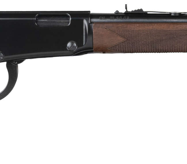 HEN WESTERN LVR 22WMR