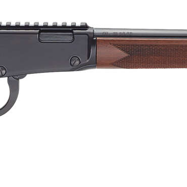 HEN BANDIT LVR 22LR