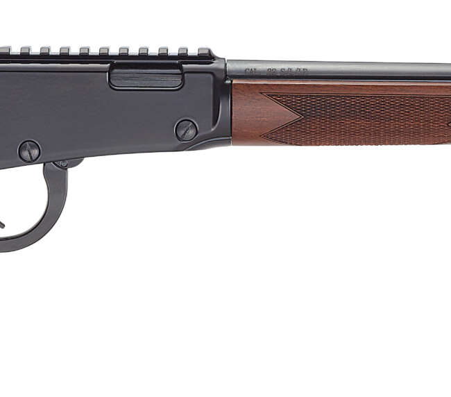 HEN BANDIT LVR 22LR