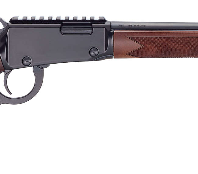 HEN SPORTER RIFLE LVR 17HMR
