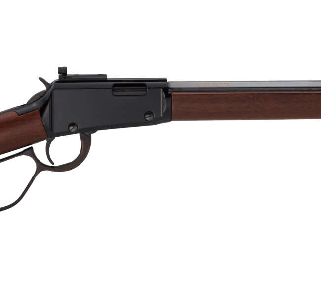 HEN TRACKER RFL LVR 22WMR