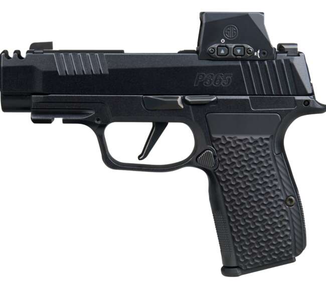 SIG SAUER P365 AXG LUXE 380ACP 12+1 ROMX