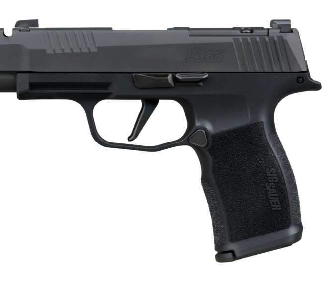 SIG SAUER P365-XL COMP 380ACP BK 12+1 MS
