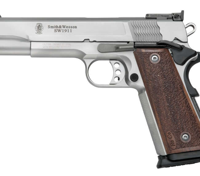 SMITH AND WESSON SW1911 9MM 10+1 5" SS/WD AS  #