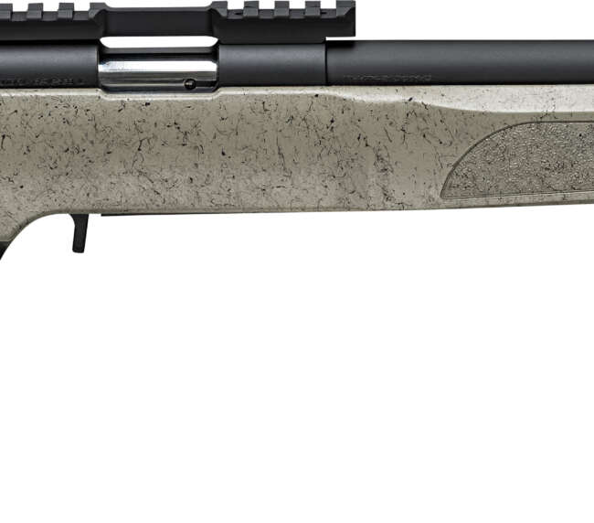 SPG 2020 RIMFIRE TGT 22LR SGE