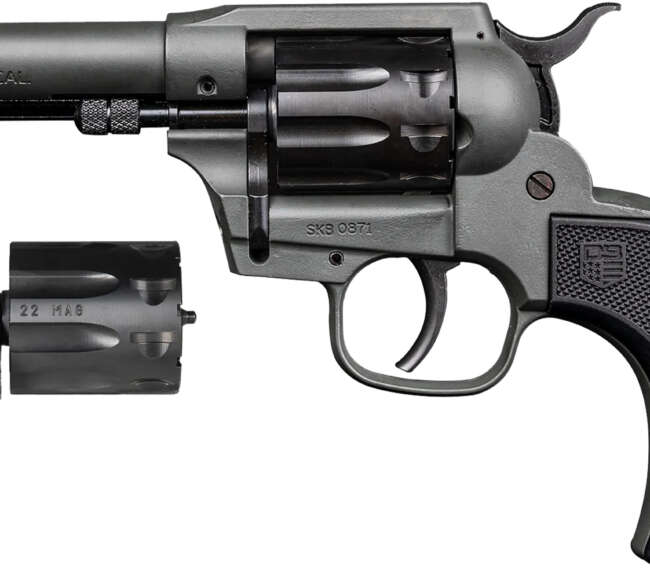 DBF DB SK 22LR|22M 4.5G 9RD