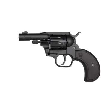 DIAMONDBACK FIREARMS SIDEKICK 22LR/22M BK BIRDSHEAD