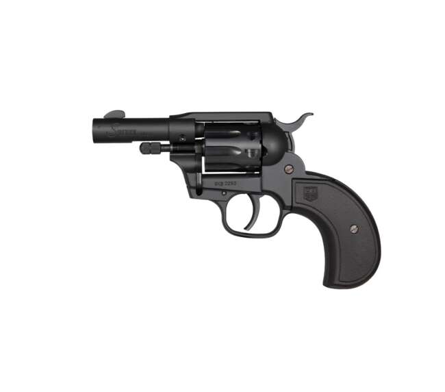 DIAMONDBACK FIREARMS SIDEKICK 22LR/22M BK BIRDSHEAD