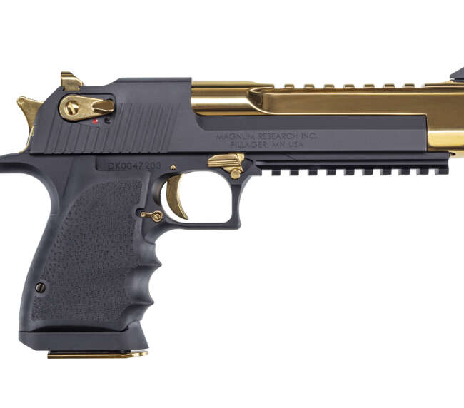 MAGNUM RESEARCH DE 44MAG MK XIX BK/TG