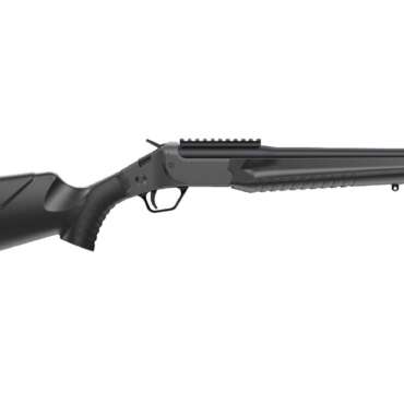 ROSSI LWC 300BLK BLK/BLK 16.5" TB