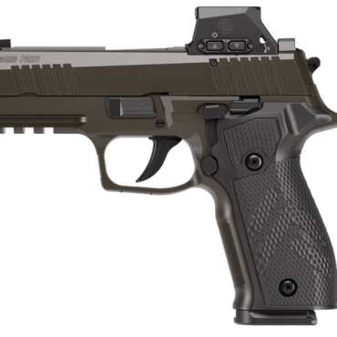 SIG SAUER P226X LEG 3.8" 9MM 18+1 ROMEOX