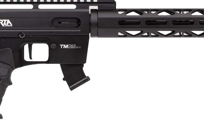 ROCK ISLAND ARMORY TM22 22LR BLK 20" 10+1       #