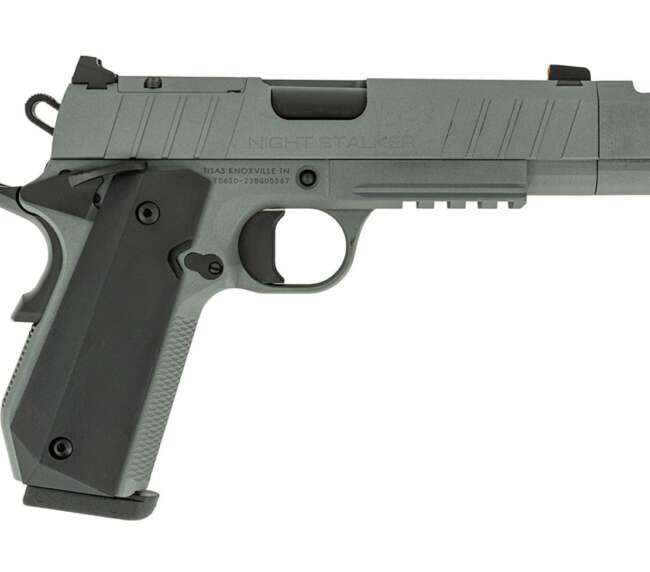TISAS NIGHT STALKER COMP 10MM GRY