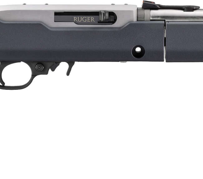 RUG 10/22 TD 22LR SS TB GR FO