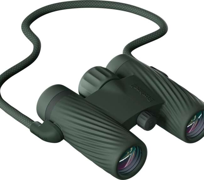 BUSHNELL A1 BINO 10X25 GRN