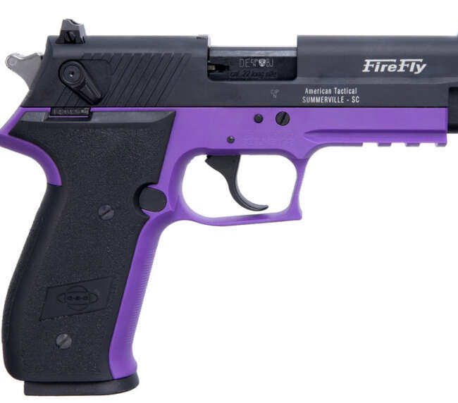 ATA GSG FIRFLY 22LR PURPLE 10R