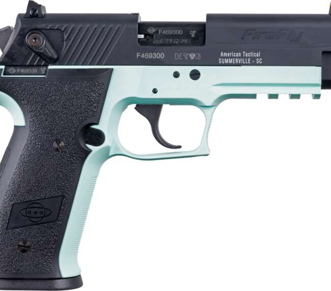 ATA GSG FRFLY 22LR PS MINT 10R