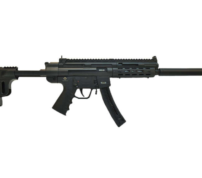 ATA GSG-16 CARB 22LR MLOK 22RD