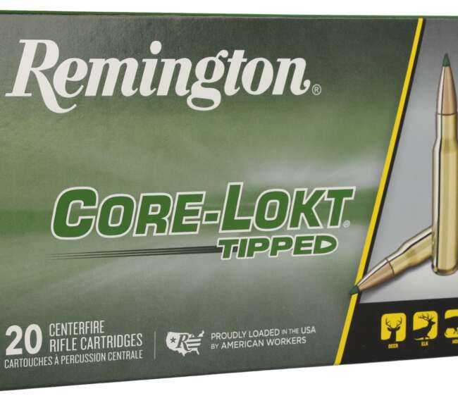 REM 308 150GR CORE TIP 20RD