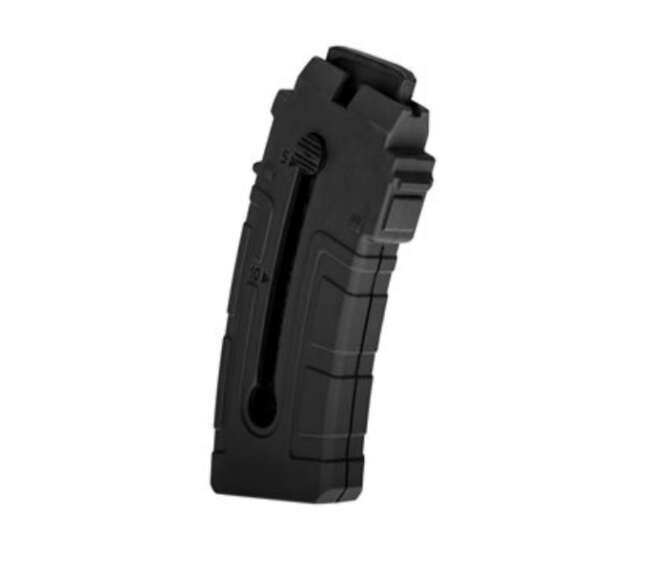 ROSSI MAGAZINE RS22W 22MAG 10RD BLK