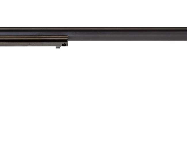 HERITAGE MANUFACTURING RR 22LR BLUE 16" 6RD FS