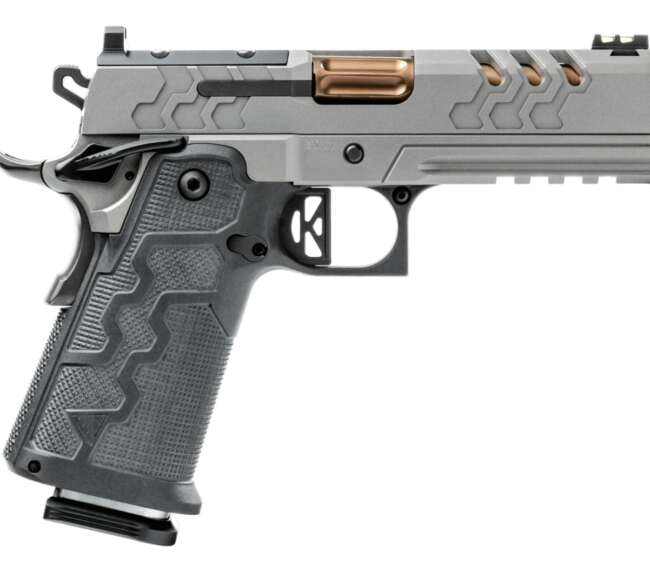 KIMBER 2K11 PRO 9MM STAINLESS 19+1 OR