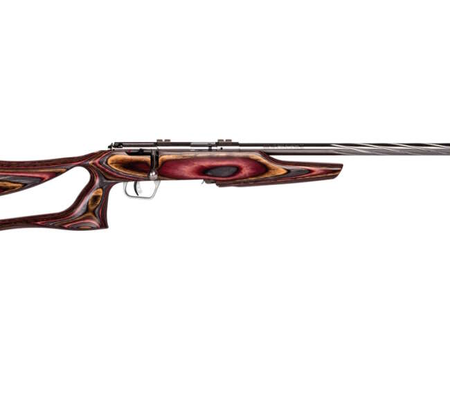 SAVAGE ARMS MARK II 22LR BOLT SS/EVO LAM #