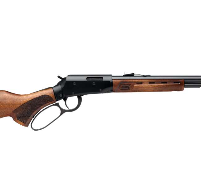 SAVAGE ARMS REVEL DLX 17HMR 18" WD/BL 9+1
