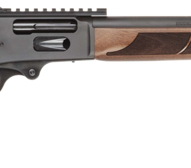 S&W 1854 45-70 20B WLNT 250TH