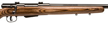 SAVAGE ARMS 25LV 223REM BL/LAM DBM