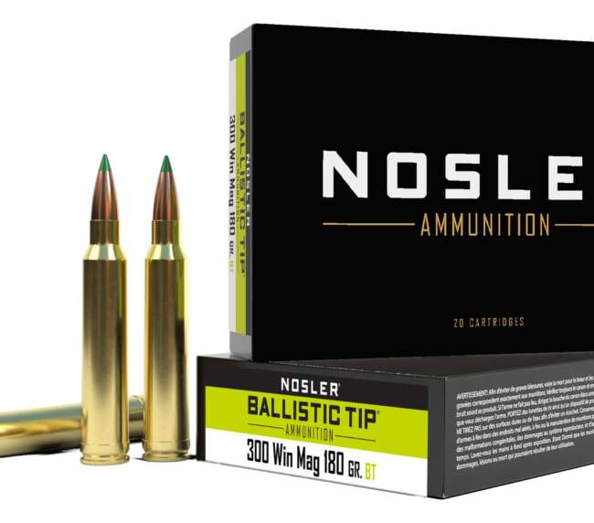 NOS 300 180GR BTIP 20RD