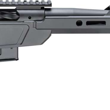 SPRINGFIELD ARMORY HEATSEEKER 308WIN 12" BLK