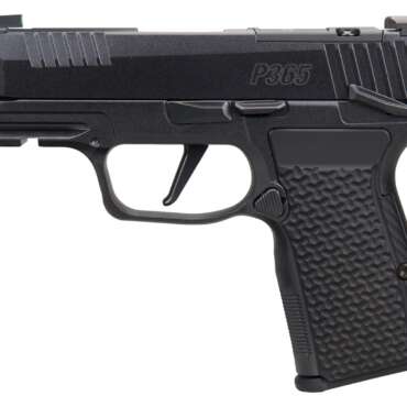 SIG SAUER P365 AXG LUXE 380ACP MS CA