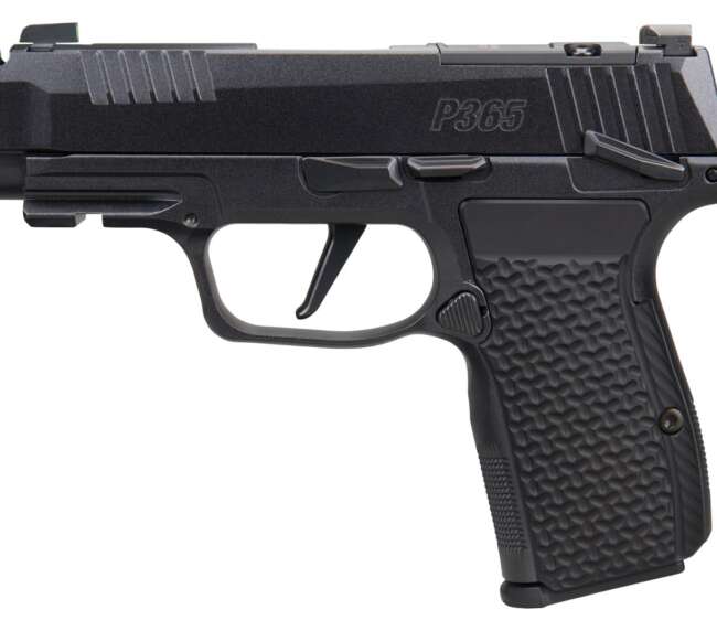SIG SAUER P365 AXG LUXE 380ACP MS CA