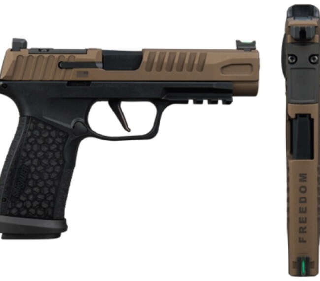 SIG P365 FUSE 9MM 21R FRDM BRZ