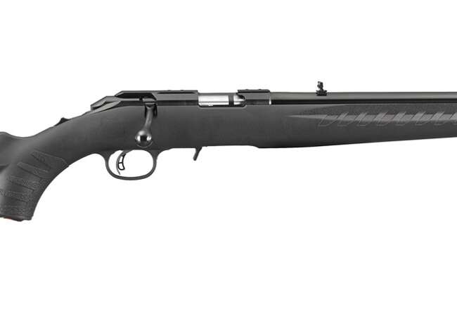 RUGER AMERICAN 22LR BL/SY 18" TB