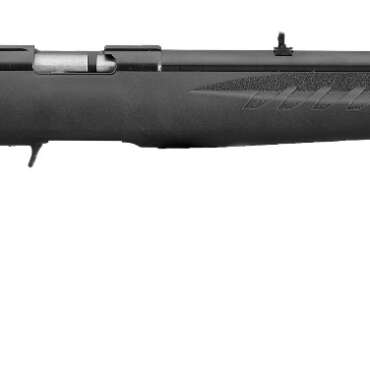 RUG AM RFL RF 17HMR 9RD B