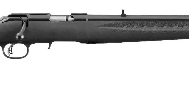 RUG AM RFL RF 17HMR 9RD B