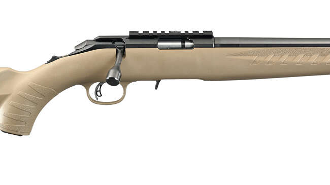 RUG AM RFL RF 22LR 10R FDE TB