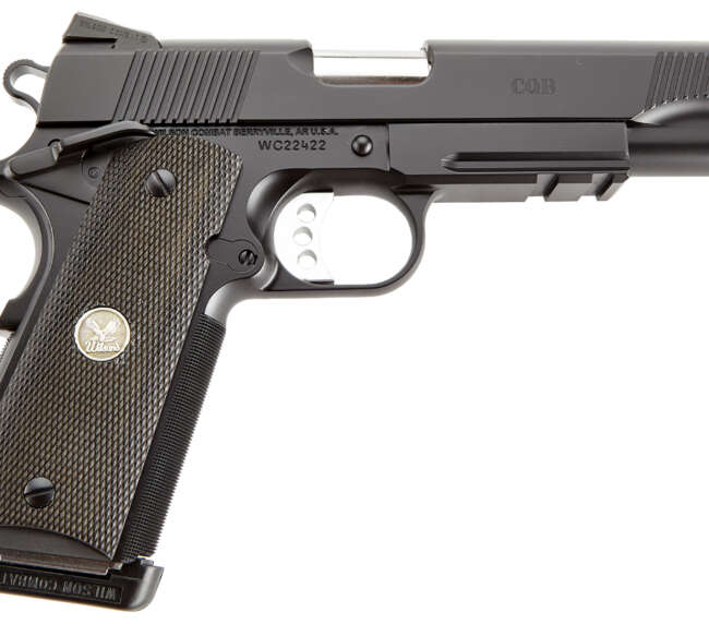 WCT CQB GVT AMB 45AP BLK LR CA